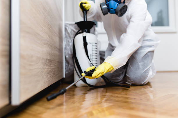Best Cockroach Control Services  in Paducah, TX