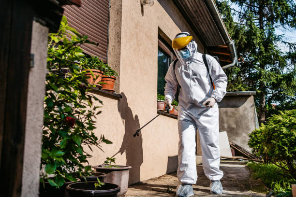 Best Pest Control Near Me in Paducah, TX