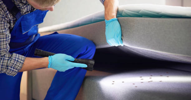 Best Best Pest Control Near Me  in Paducah, TX