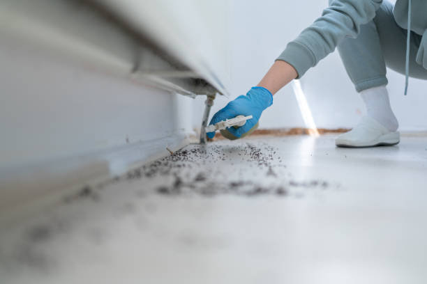 Best Best Pest Control Companies  in Paducah, TX